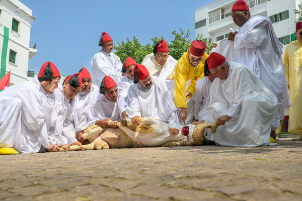 أمير المؤمنين، حفظه الله، يؤدي صلاة عيد الأضحى المبارك بمسجد الحسن الثاني بتطوان ويتقبل التهاني بهذه المناسبة السعيدة